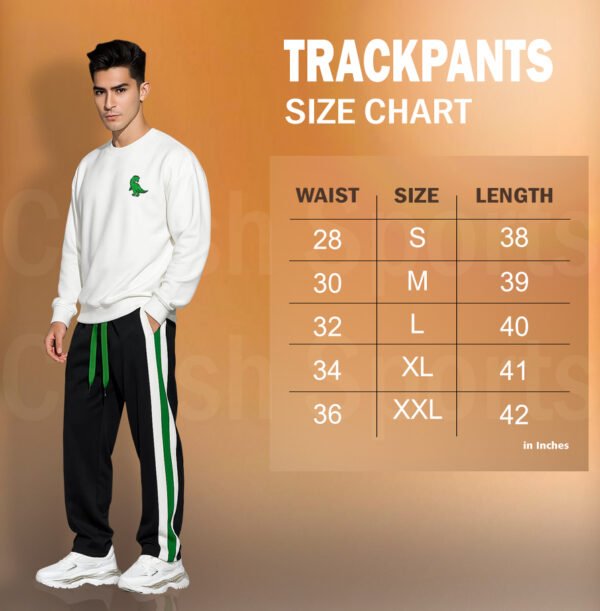 StrideX Men’s Black Track Pants with White & Green Side Stripes | Stylish Sports & Casual Wear